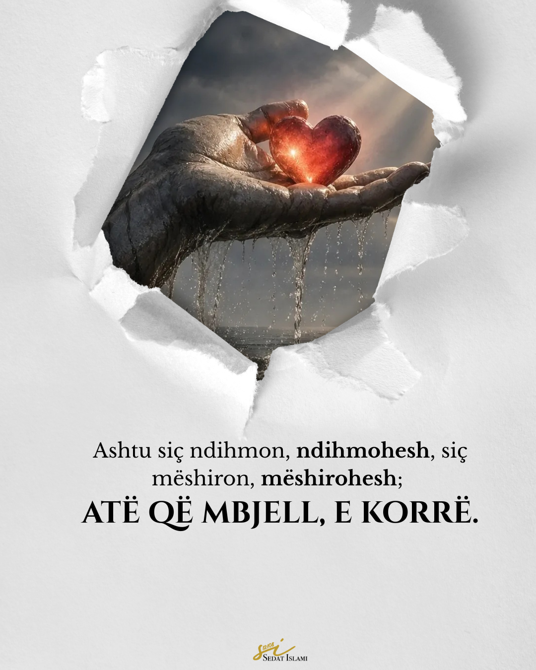 Atë që mbjell, e korrë