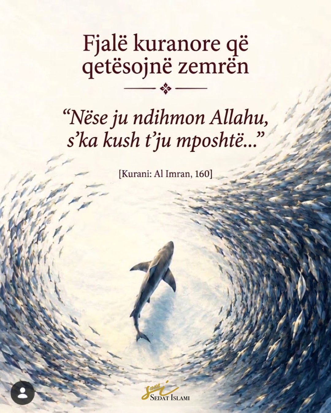 Fjalë që qetësojnë shpirtin