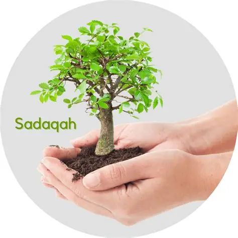 SADAKAJA NUK E PAKËSON PASURINË